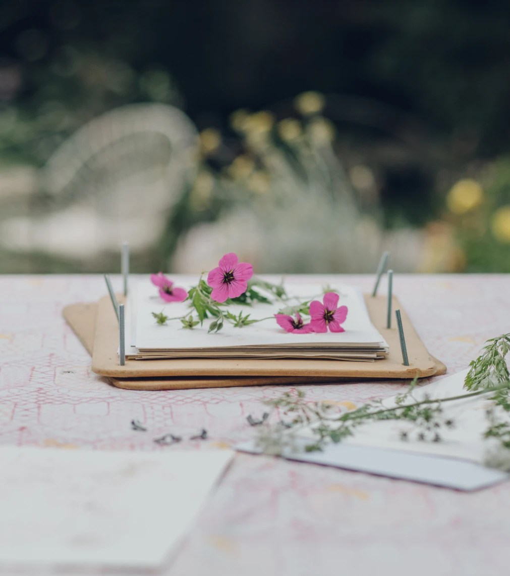 Inspiration image 19