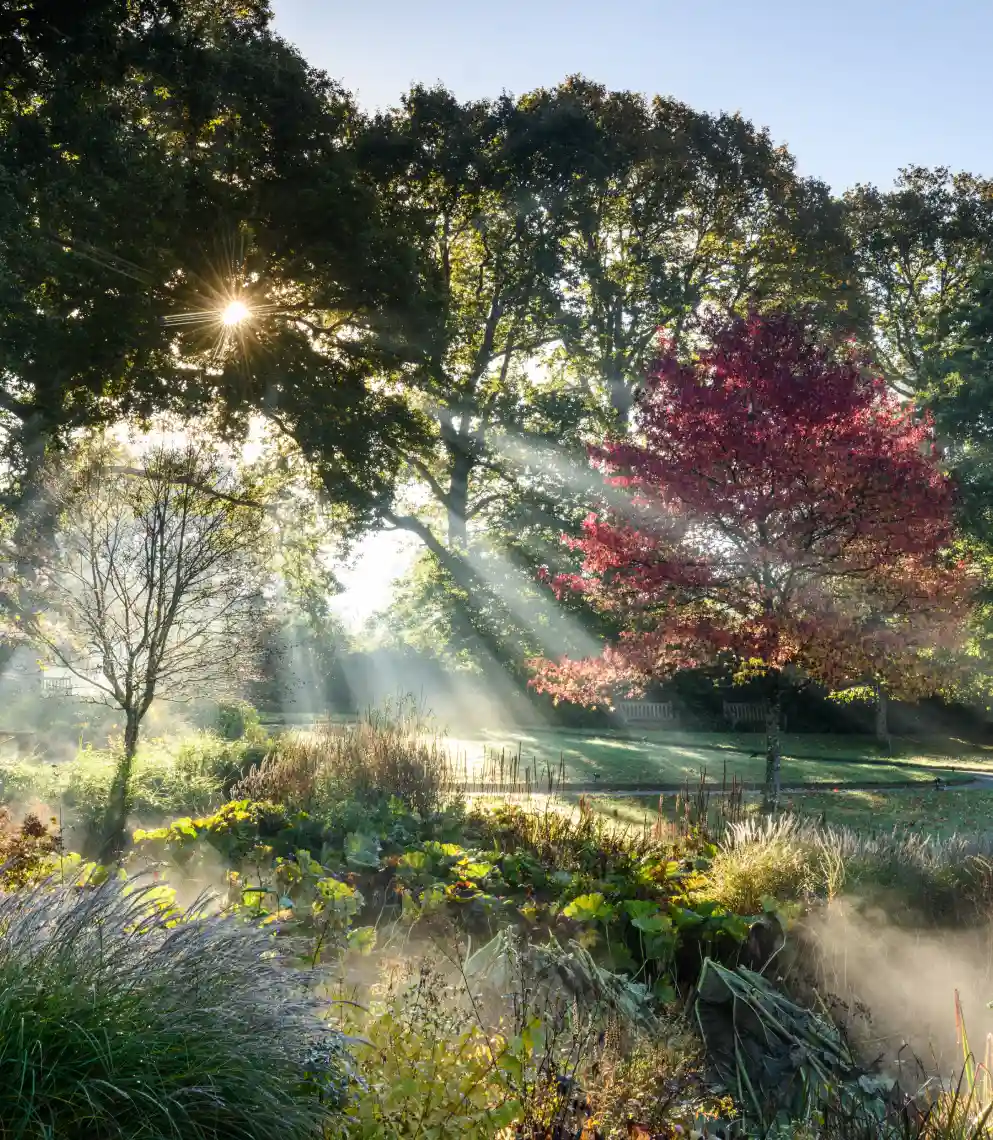 Inspiration image 20