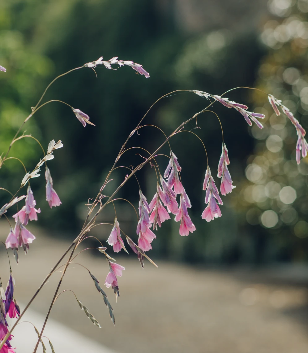 Inspiration image 12